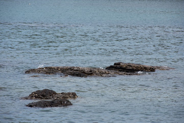岩の海