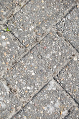 background of stones paw 