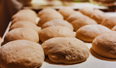 Freshly baked bread loaf