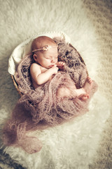 Newborn baby girl sleeping in a basket. Concept shooting newborns, innocence