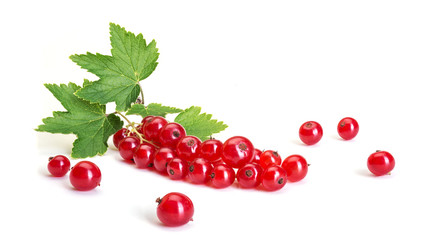 Red currants isolated on the white background