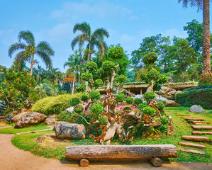 Topiary trees in Mae Fah Luang garden, Doi Tung, Thailand