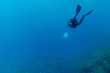 Obraz na płótnie Canvas A scuba diver picks up a plastic bag during a dive in the Atlantic ocean