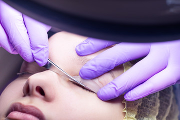 cosmetologist making lash lift procedure