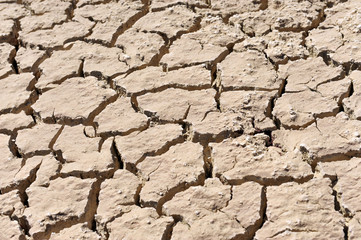cracked clay ground into the dry season