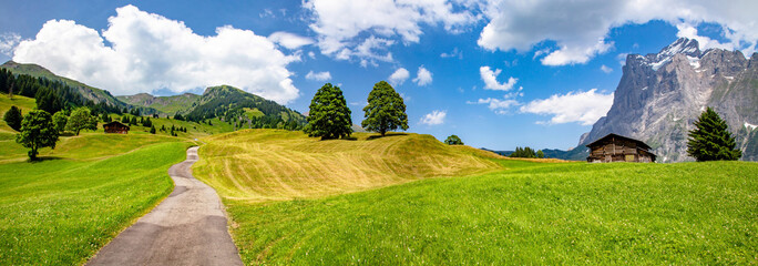 Swiss beauty, green meadows in Grindelwald valley, Bernese Oberland,Switzerland,Europe
