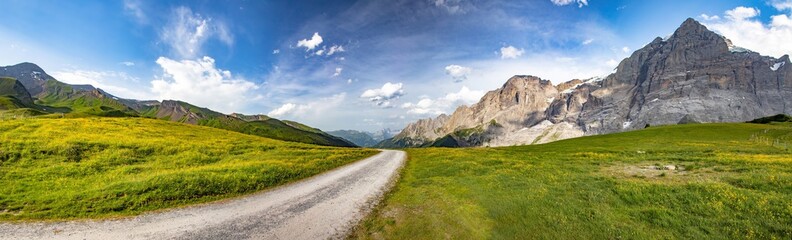 Fototapeta na wymiar Swiss beauty, path on meadows above Grindelwald,Bernese Oberland,Switzerland,Europe