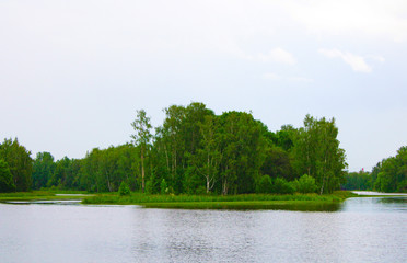 green forest area washed on both sides by the river