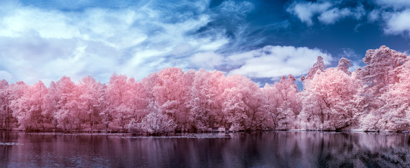 Stunning surreal false color infra red Summer landscape of lake and woodland in English countryside