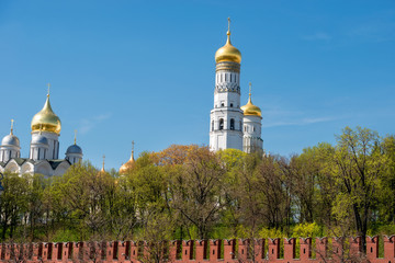 Fototapeta na wymiar Moscow, Russia - May 6, 2019: View of the Moscow Kremlin, the Assumption Belfry and cathedrals on Cathedral Square on a summer day