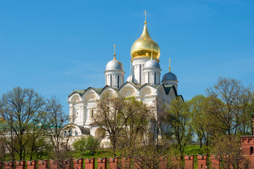 Fototapeta na wymiar Moscow, Russia - May 6, 2019: View of the Moscow Kremlin, the Annunciation Cathedral on a summer day