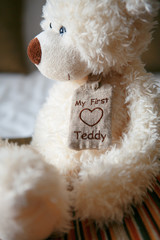 my first teddy bear