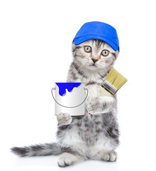 Tabby kitten in blue hat with paint brush and paint bucket. isolated on white background