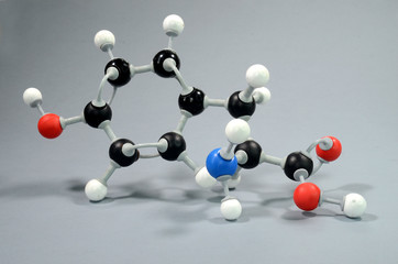 Molecule model of 4-hydroxyphenylalanine, a common amino acid. Black is Carbon, Red is Oxygen,...
