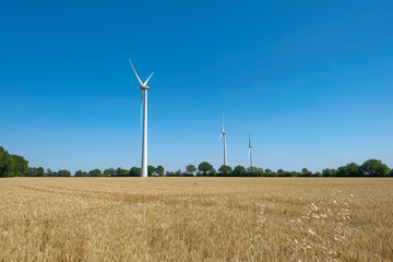 éolienne dans des champs de blé