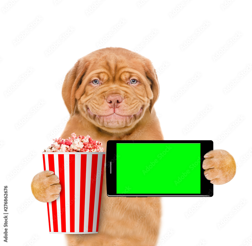 Poster smiling puppy with popcorn basket and smartphone. isolated on white background