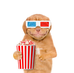 Funny puppy in the 3d glasses with popcorn basket. isolated on white background