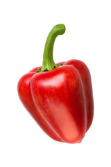 Red Pepper Isolated on White Background.
