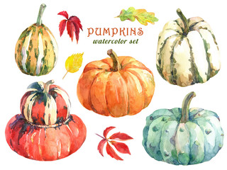Different varieties of pumpkins. Hand drawn watercolor illustration.