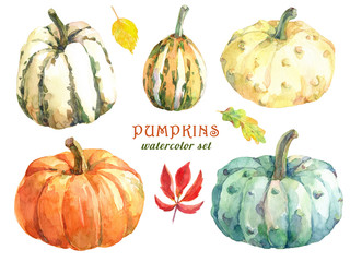 Different varieties of pumpkins. Hand drawn watercolor illustration.