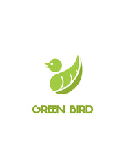 Green bird on white background