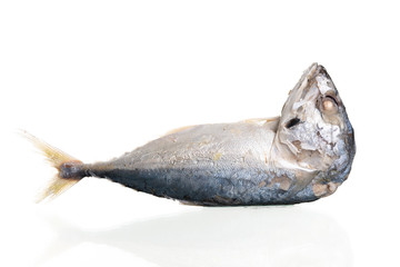 Thai mackerel fish steamed on white background