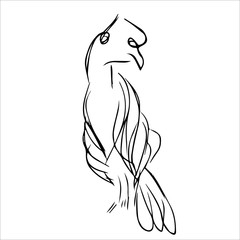 Animal Line Art Monochrome Style