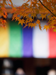 京都　二尊院の紅葉