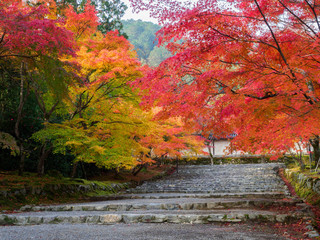 京都　二尊院の紅葉