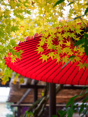 京都　二尊院の紅葉