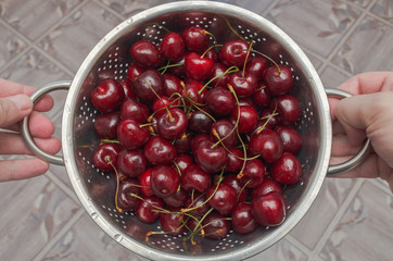 ripe sweet cherry in a colander in the hands