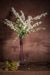 Still life- spring bouquet