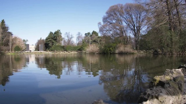 Sempione park lake in Milan, Italy. Ducks and pigeons in sunny day.