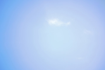Sky above, pale blue with tiny cloud in the mist. Natural pattern.