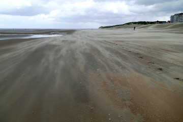 Impressive sand drifts moving over a patterned beach at low tide during a hurricane at the Belgium coast