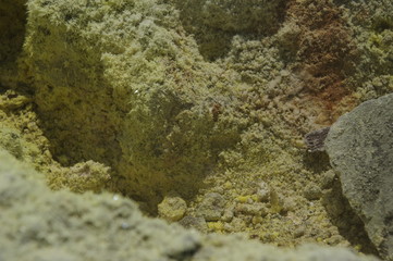 Schwefelablagerung in einer Fumerole