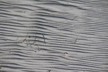 Sandwellen