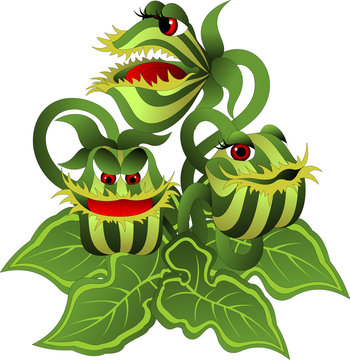 predatory plant with large leaves and red eyes on a white background