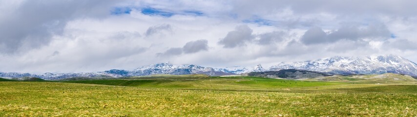 Montenegro, XXL nature landscape panorama of spectacular snow covered mountains of durmitor national park behind endless green pastures with sheep and cows