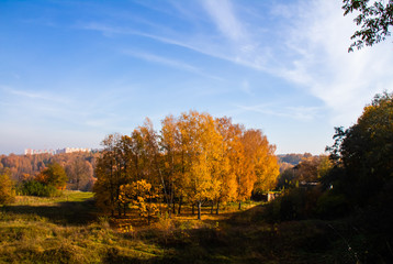 Golden islets of trees in the countless forests of Smolensk