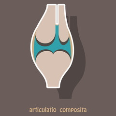 Knee joint health care icon sticker