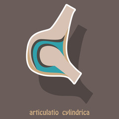 Knee joint health care icon sticker