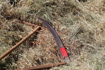Scythe and rake in fresh mowed hay.