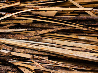 pruning of trees on processing