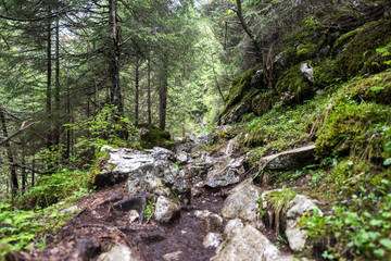 Rocky terrain in Carpathian Mountains, Romania