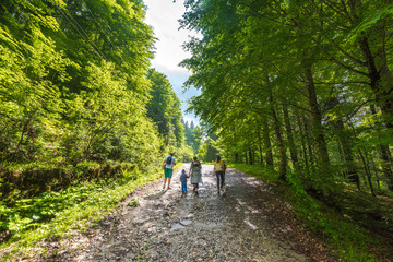 Obraz premium Family walks through a forest in the Carpathian Mountains, Romania