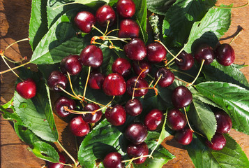 Top view of ripe red cherries on the green leaves, wooden surface. Natural sunlight