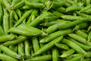 Fresh pea pods as background. Top view.