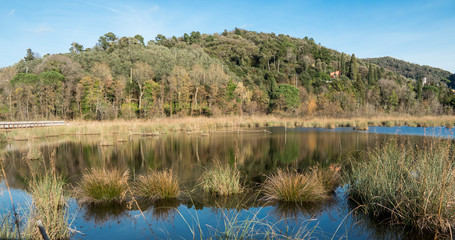 Lago Massaciuccoli e Torre del Lago Puccini