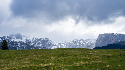 Fototapeta na wymiar Montenegro, Snow storm coming over snow covered mountains of durmitor national park behind green meadow in nature of zabljak landscape
